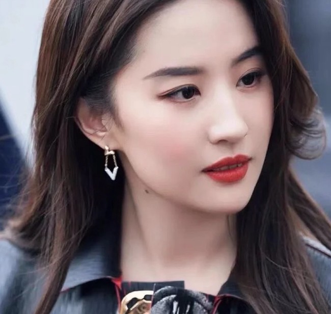 Louis Vuitton Earring CE16377