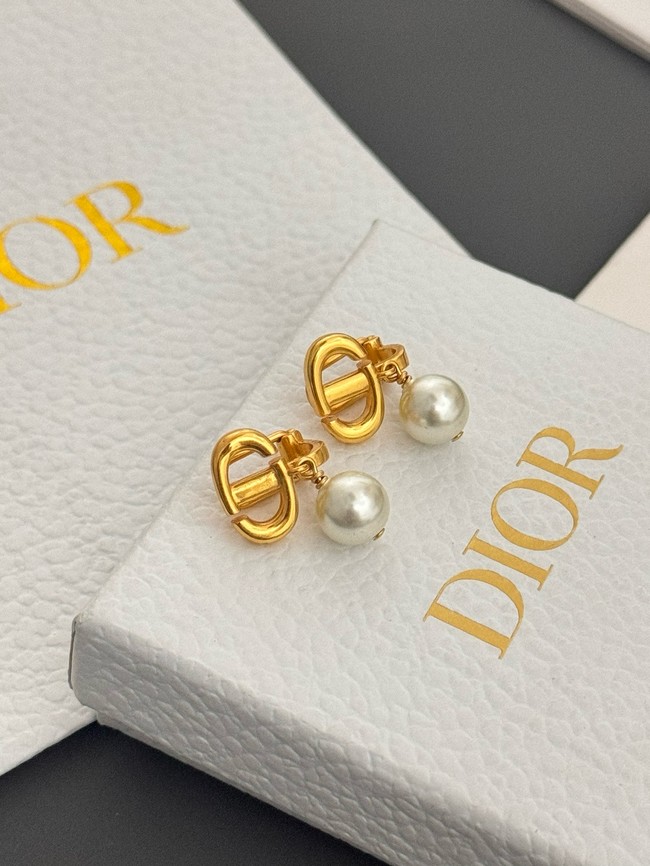 Dior Earring CE16595