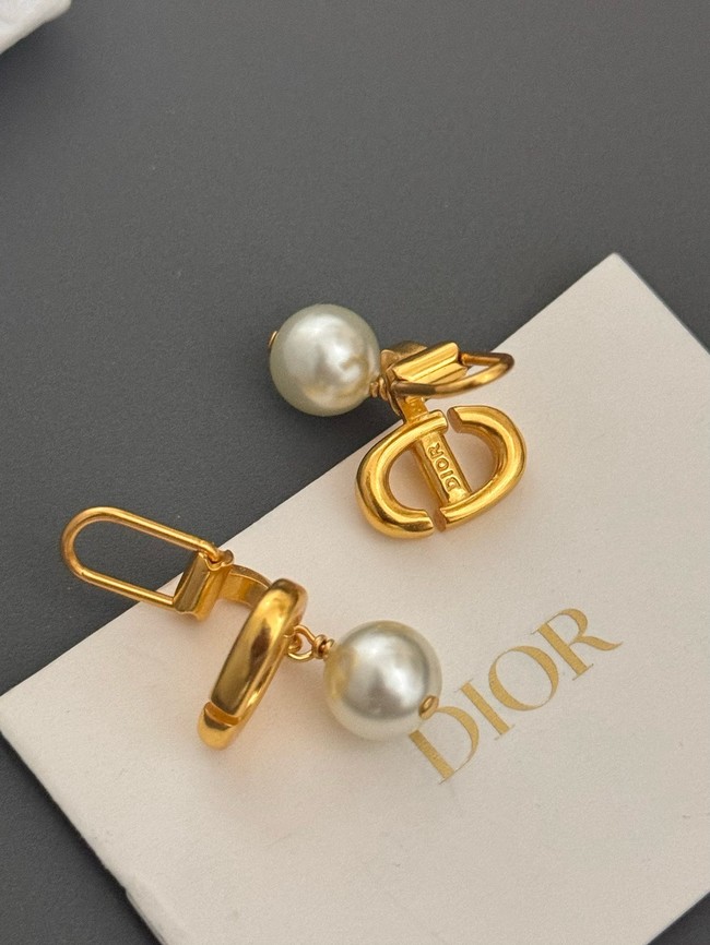 Dior Earring CE16595