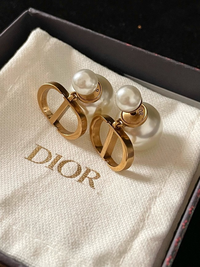 Dior Earring CE16596