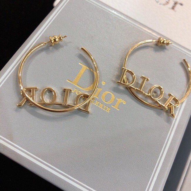Dior Earring CE16719