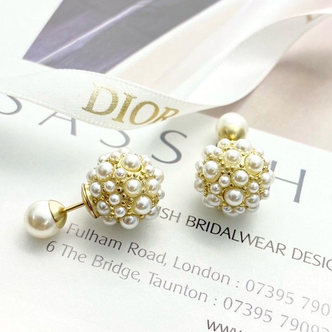 Dior Earring CE16841