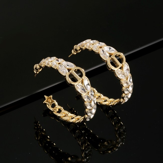 Dior Earring CE16969