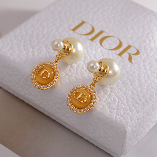 Dior Earrings CE80985
