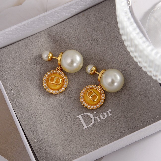 Dior Earrings CE80985