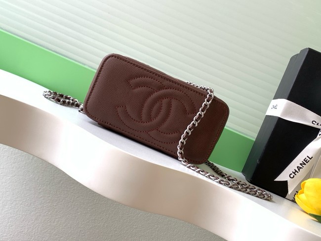 Chanel Long Vanity with chain AP4933 brown