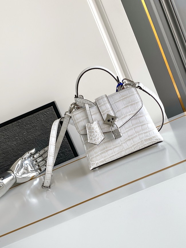 Louis Vuitton Calfskin M84713 light gray