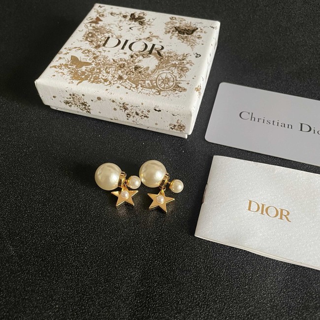 Dior Earring CE81957